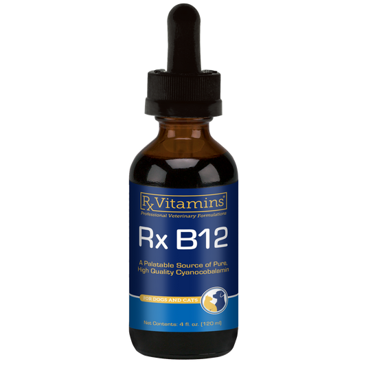 Rx Vitamins Rx B12 Liquid Digestive Supplement For Dogs and Cats (4 oz)