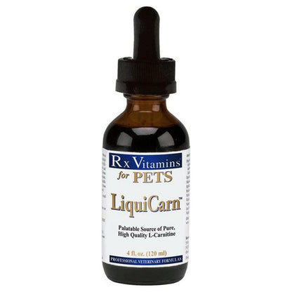 Rx Vitamins LiquiCarn Heart Supplement for Dogs and Cats (4 oz)