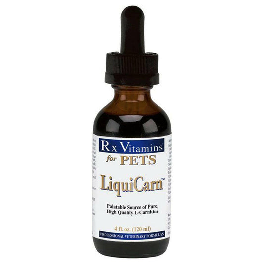 Rx Vitamins LiquiCarn Heart Supplement for Dogs and Cats (4 oz)