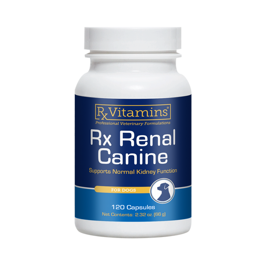 Rx Vitamins Rx Renal Canine Kidney Support For Dogs (120 capsules)