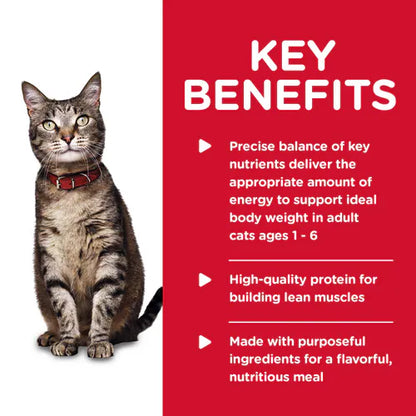 Hill's Science Diet Adult Tender Ocean Fish Dinner Canned Cat Food (5.5 oz x 24 cans)