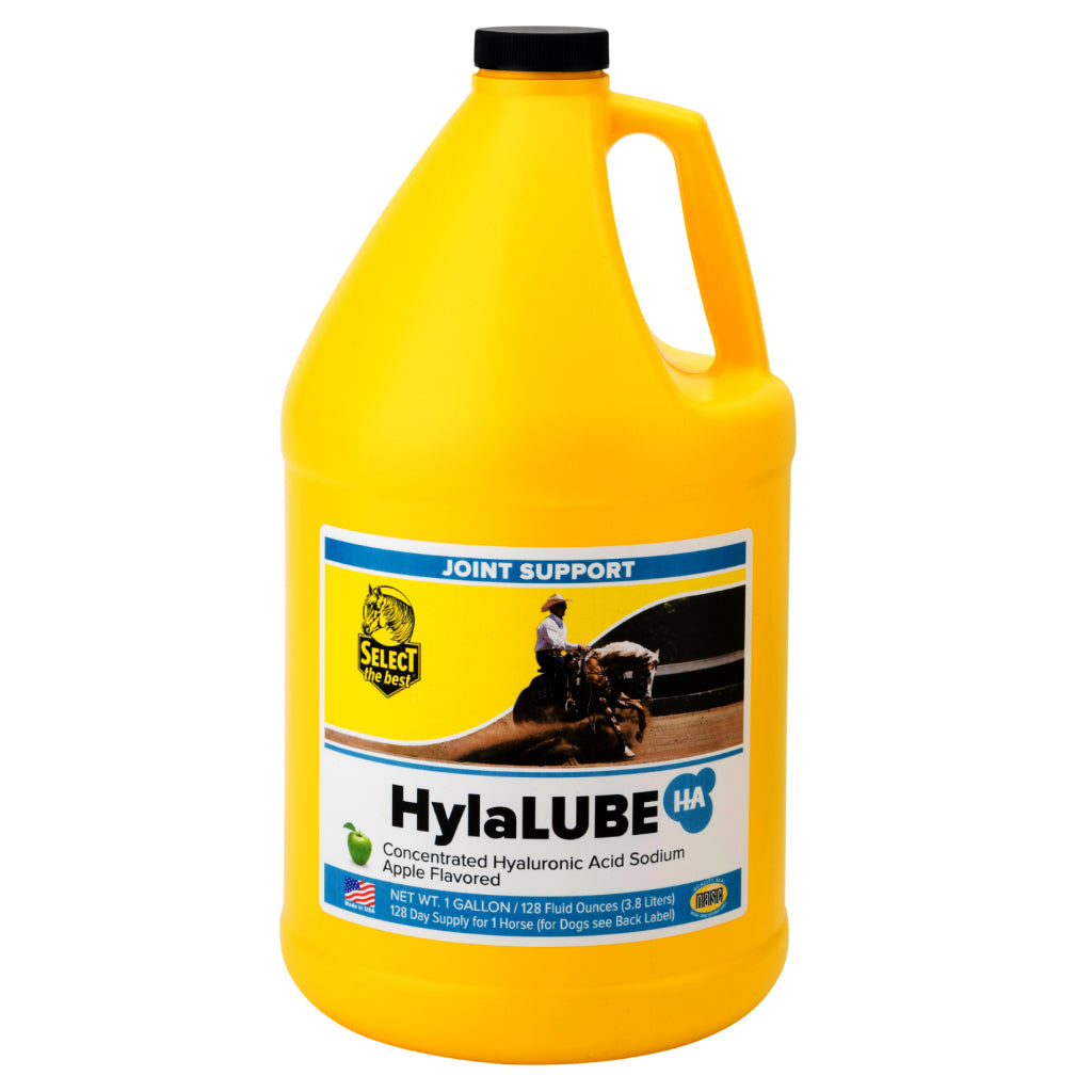 Select The Best HylaLUBE Concentrated Hyaluronic Acid Joint Supplement for Horses