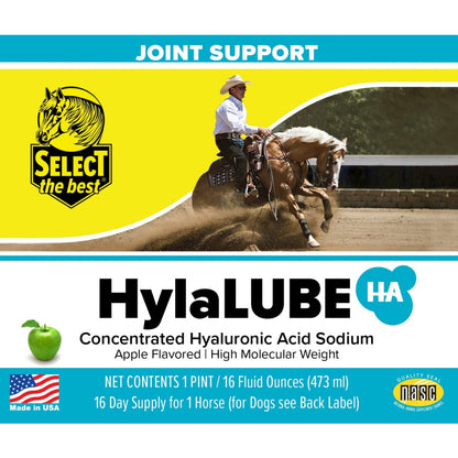 Select The Best HylaLUBE Concentrated Hyaluronic Acid Joint Supplement for Horses