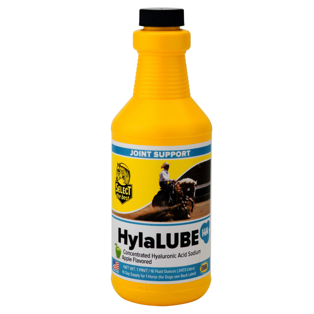 Select The Best HylaLUBE Concentrated Hyaluronic Acid Joint Supplement for Horses