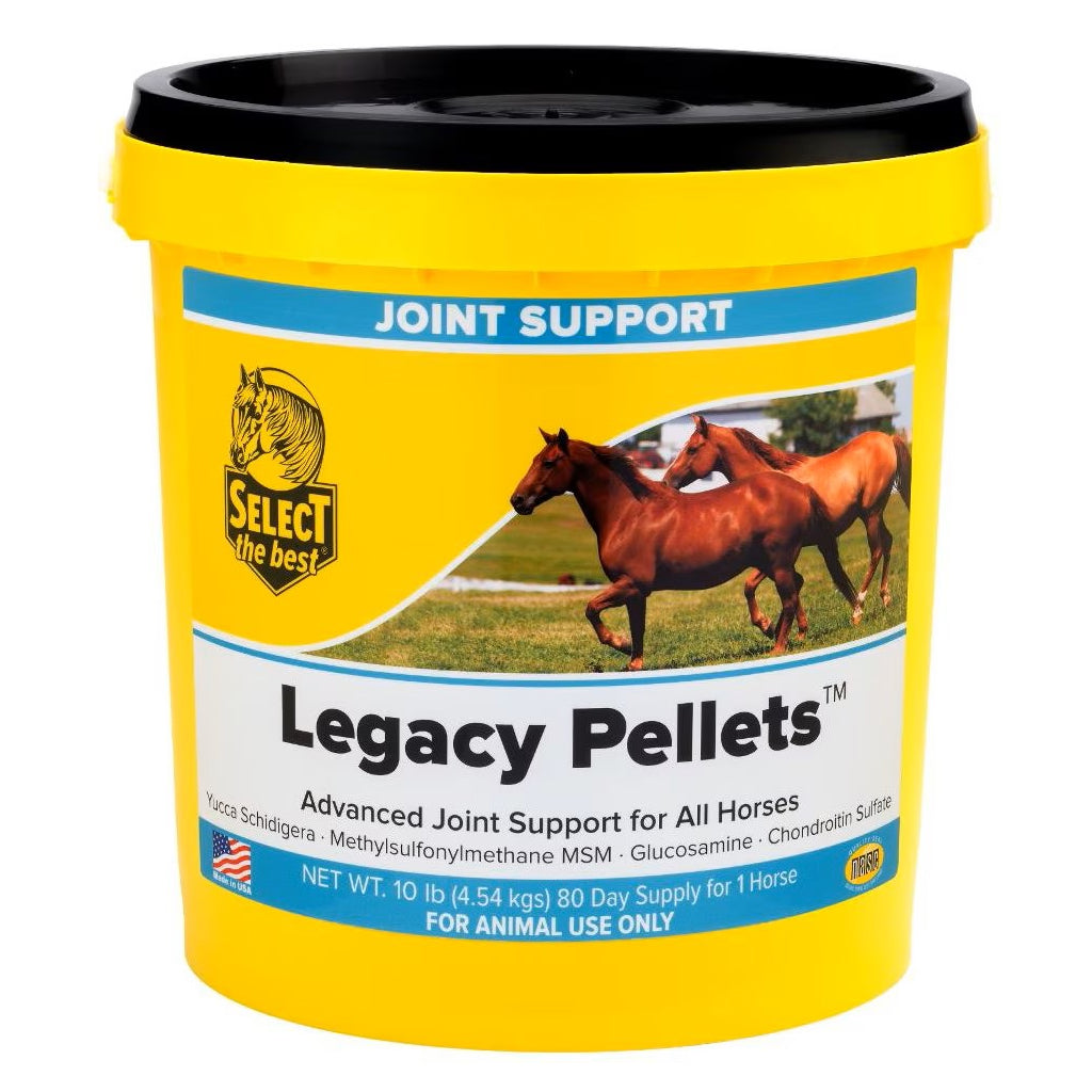 Select The Best Legacy Pellets Joint Support for Horses