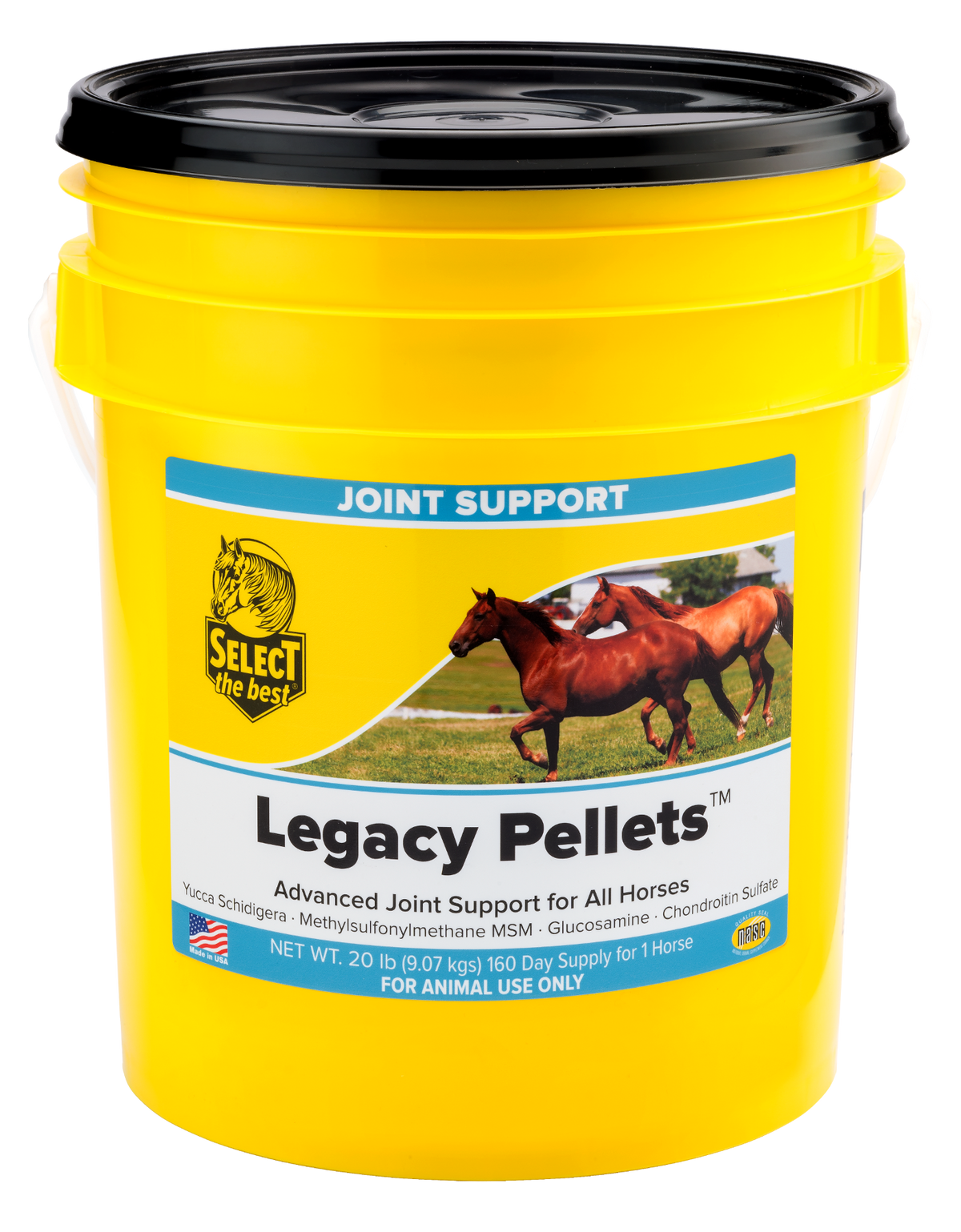 Select The Best Legacy Pellets Joint Support for Horses