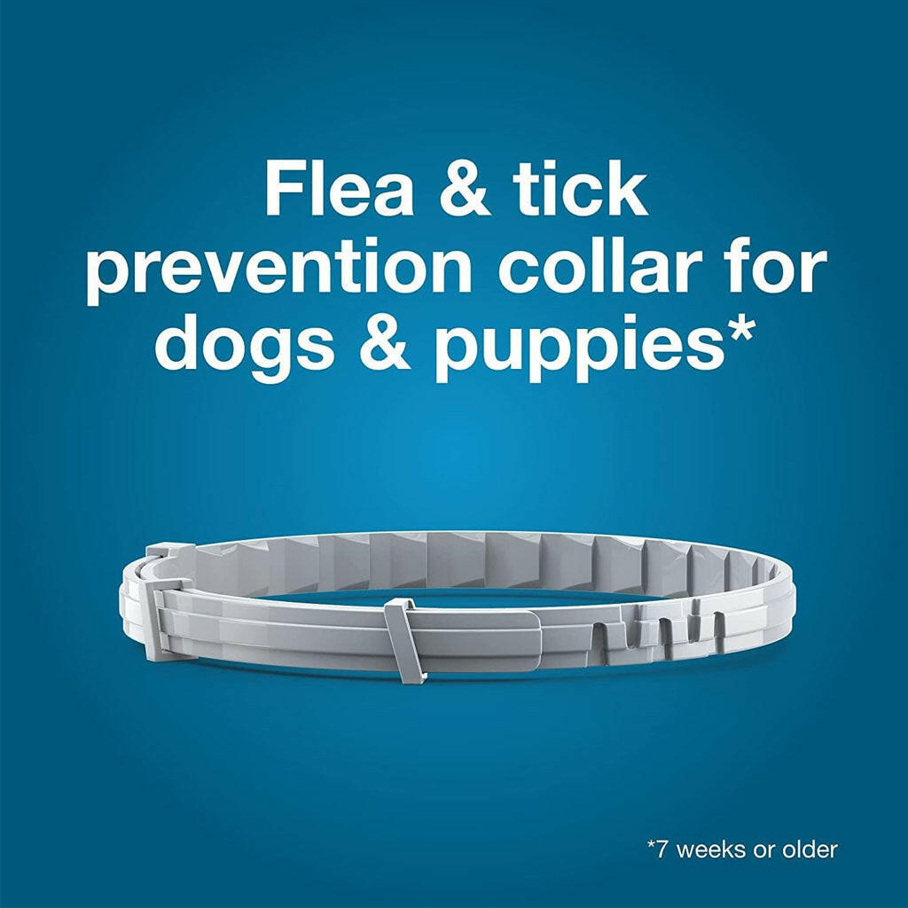 Seresto Flea & Tick Collar for Dogs, Over 18 lbs + Seresto Flea & Tick Collar for Dogs, Up to 18 lbs
