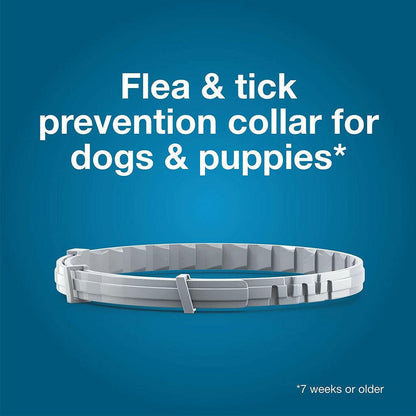 Seresto Flea & Tick Collar for Dogs, Over 18 lbs + Seresto Flea & Tick Collar for Dogs, Up to 18 lbs