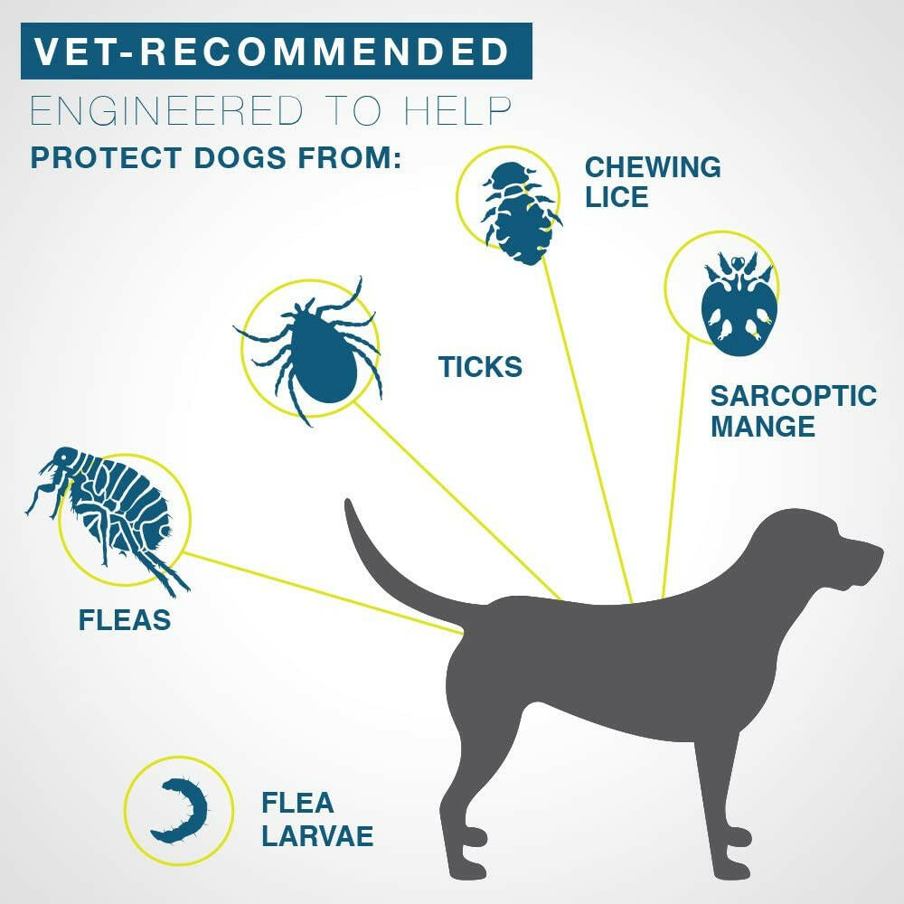 Seresto Flea & Tick Collar for Small Dogs, Under 18 lbs