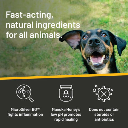 Silver Honey Rapid Ear Care Vet Strength Ear Rinse