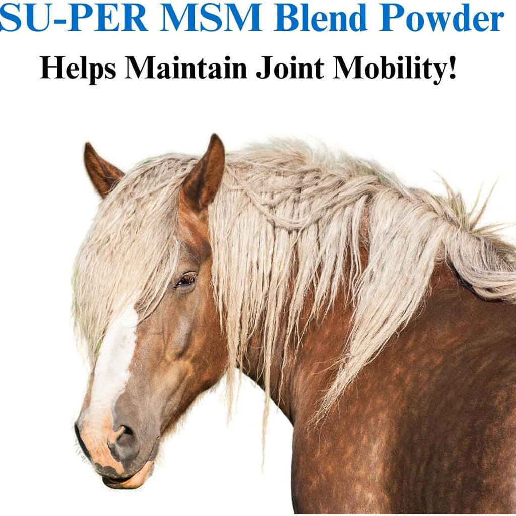 Su-Per MSM Blend Powder for Horse, 2.5-lb