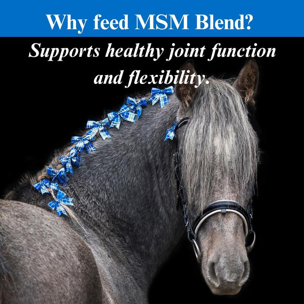 Su-Per MSM Blend Powder for Horse, 2.5-lb