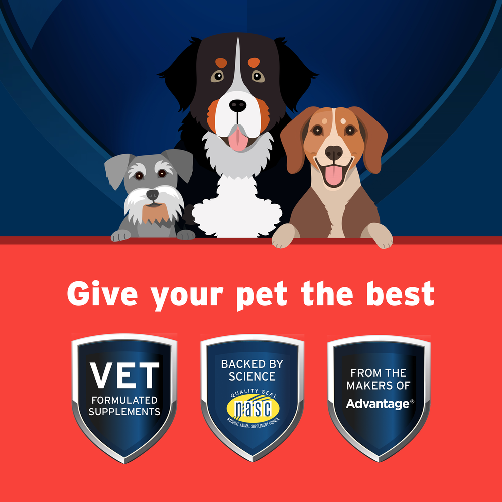 Synovi G3 Soft Chews Joint Supplement for Dogs