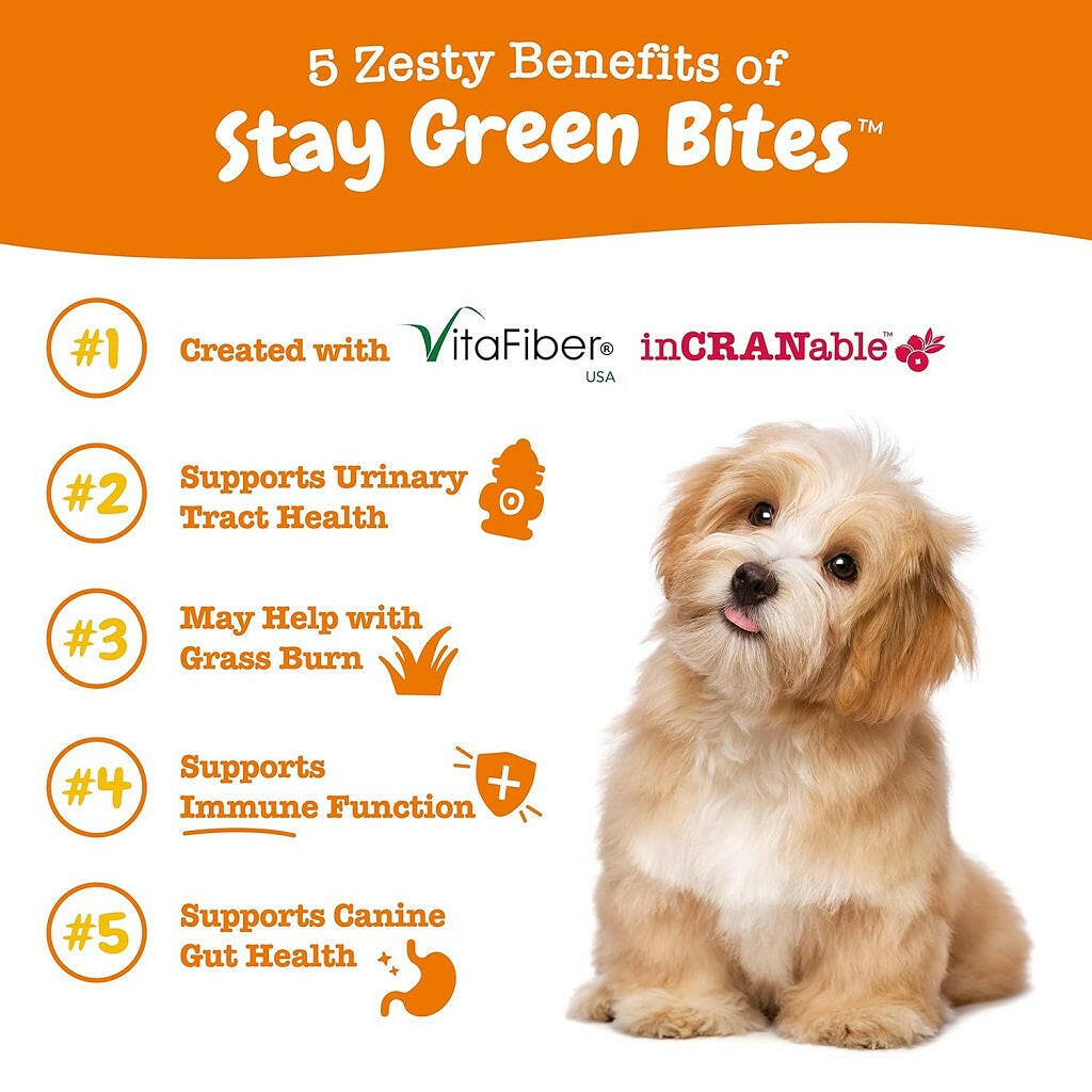 Zesty Paws Stay Green Bites Chicken Flavored Gut Health Chews for Dogs (90 ct)