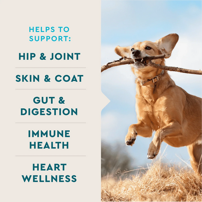 VetIQ 8-in-One Multi Functional Supplement for Dogs (60 soft chews)