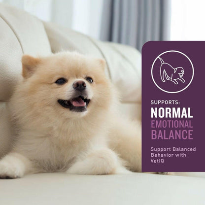VetIQ Calming Soft Chew Supplement for Dogs (60 soft chews)