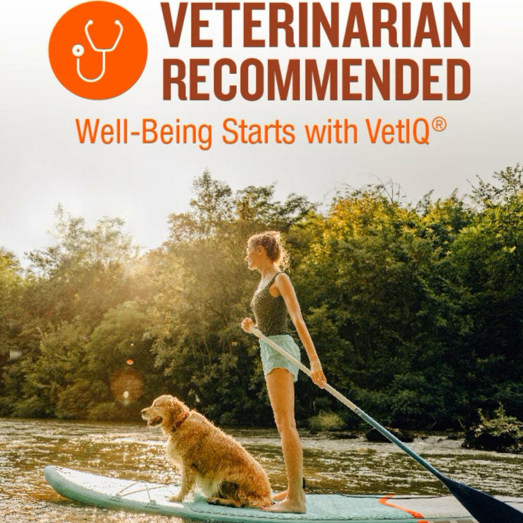 VetIQ Skin & Coat Soft Chew Supplement for Dogs (60 soft chews)