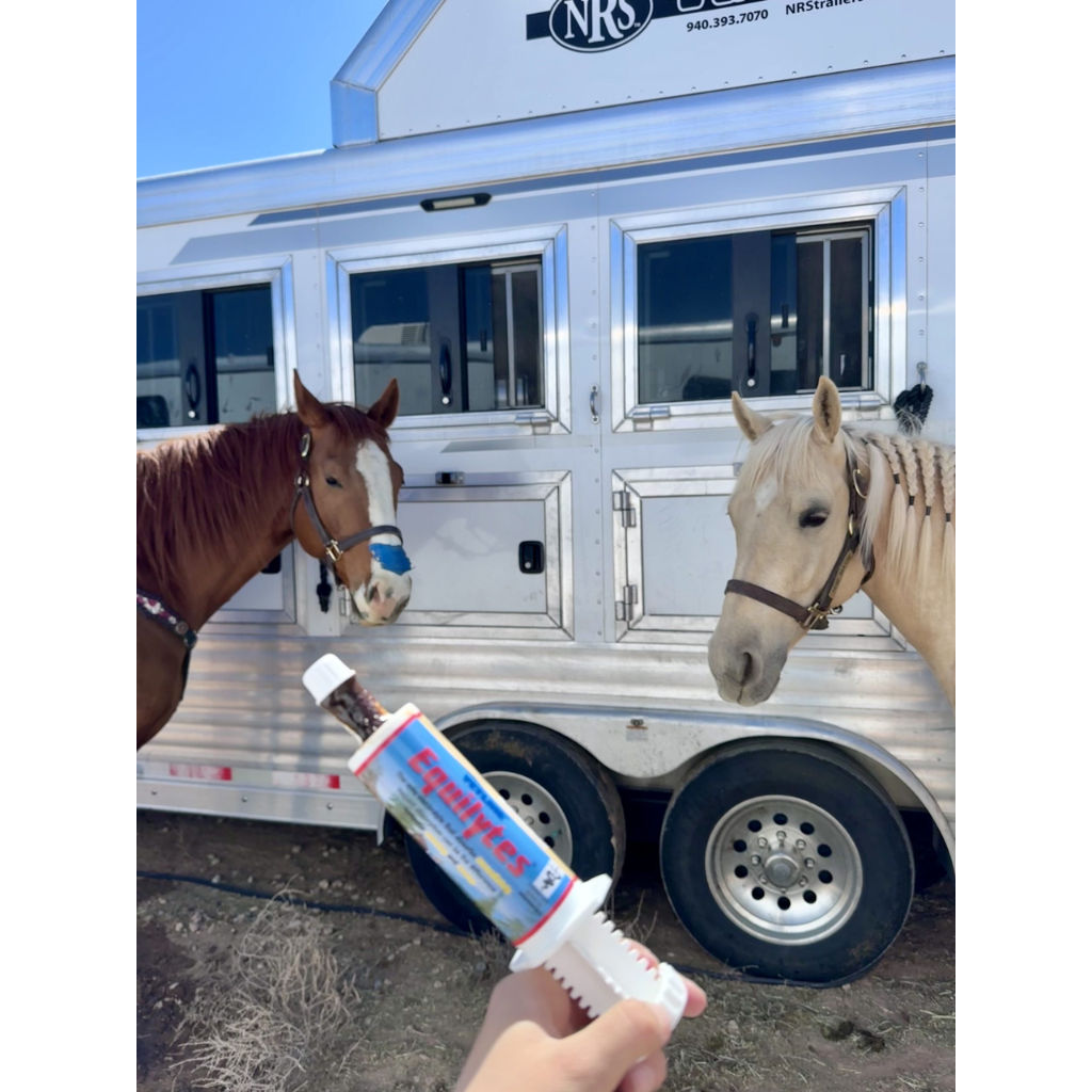 Vetline Equilytes Electrolyte Paste for Horses