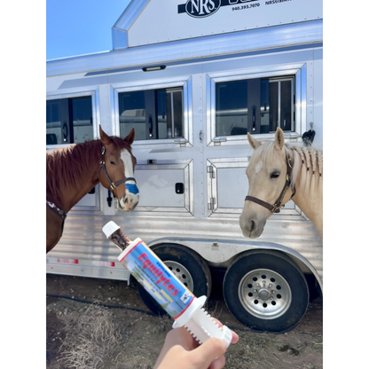 Vetline Equilytes Electrolyte Paste for Horses