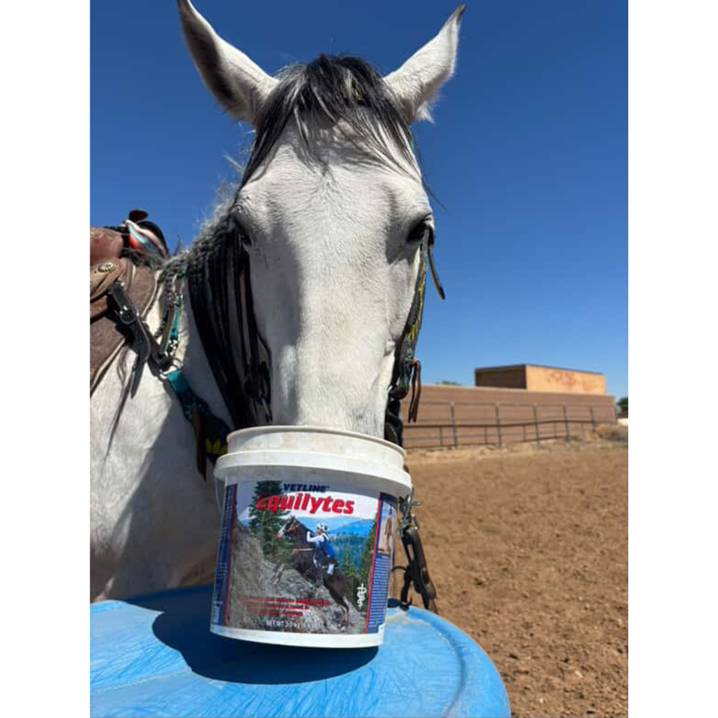 Vetline Equilytes Electrolyte Powder for Horses