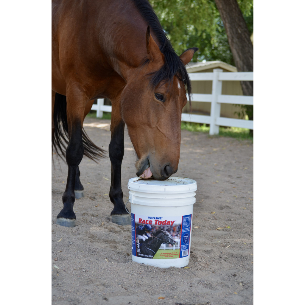 Vetline Race Today Respiratory Support Powder for Horses