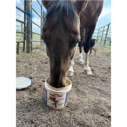 Vetline Super Flex Premium Joint Supplement for Horses