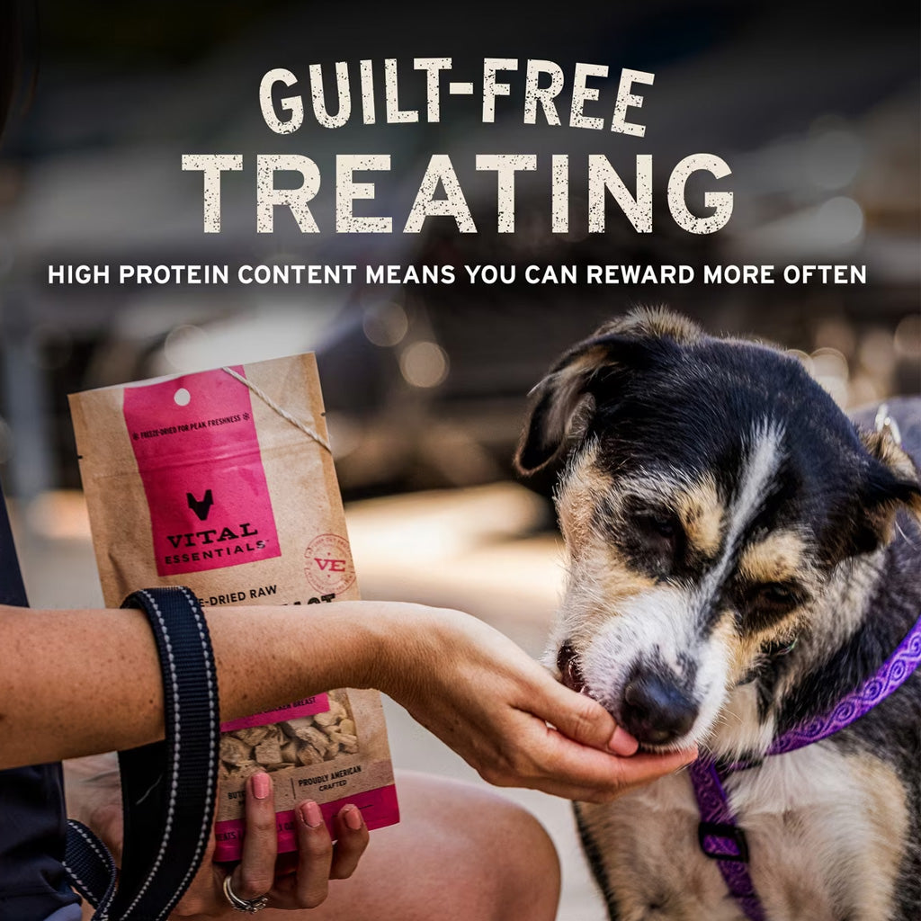 Vital Essentials Freeze-Dried Beef Bites Treats for Dogs
