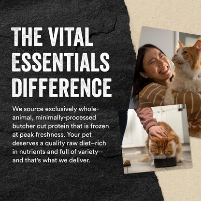 Vital Essentials  Freeze-Dried Raw Chicken Breast Treats For Cats