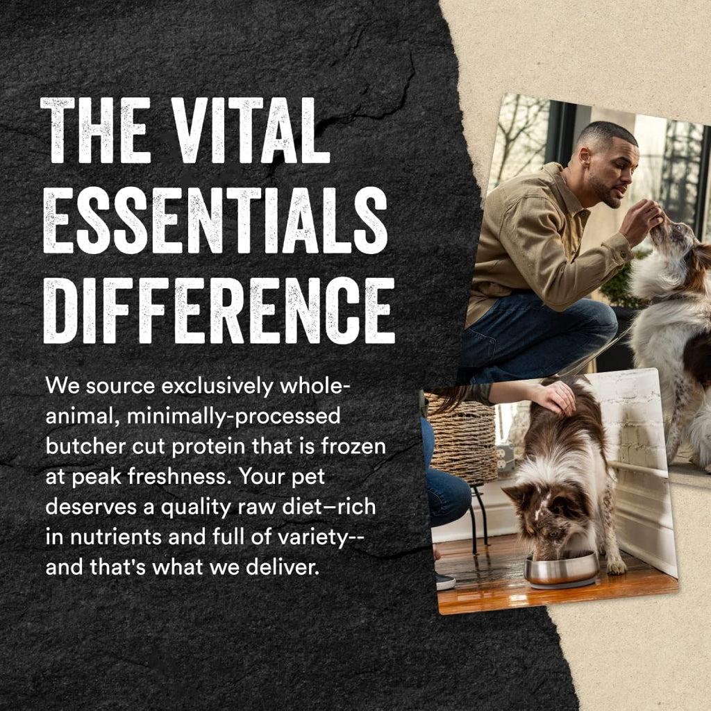 Vital Essentials  Freeze-Dried Raw Chicken Breast Treats For Dogs