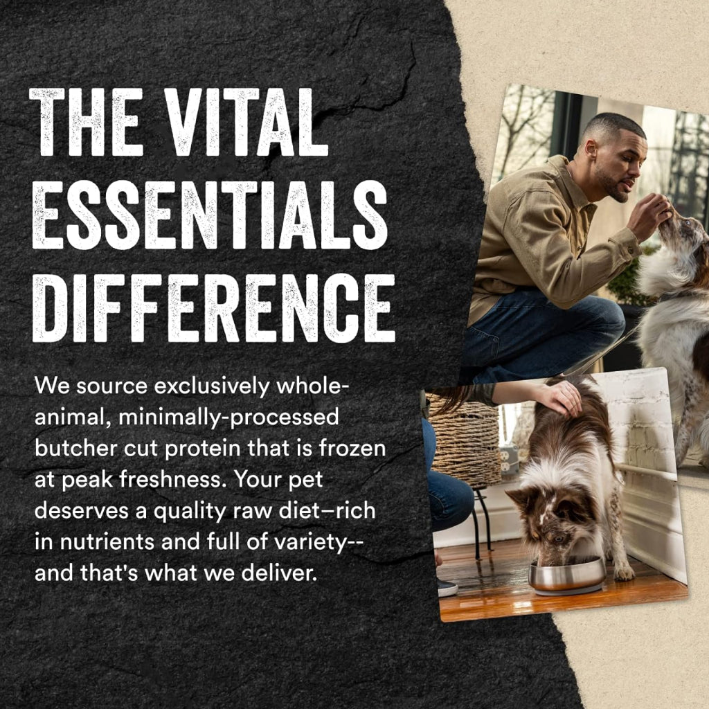 Vital Essentials Freeze-Dried Raw Minnows Treats For Dogs