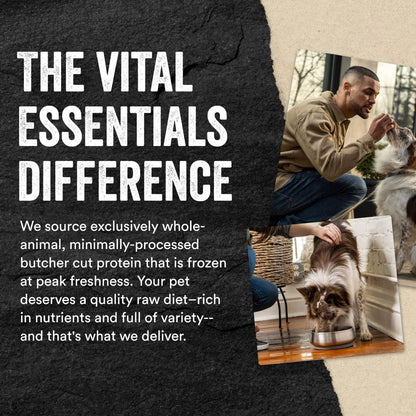 Vital Essentials Freeze-Dried Raw Minnows Treats For Dogs