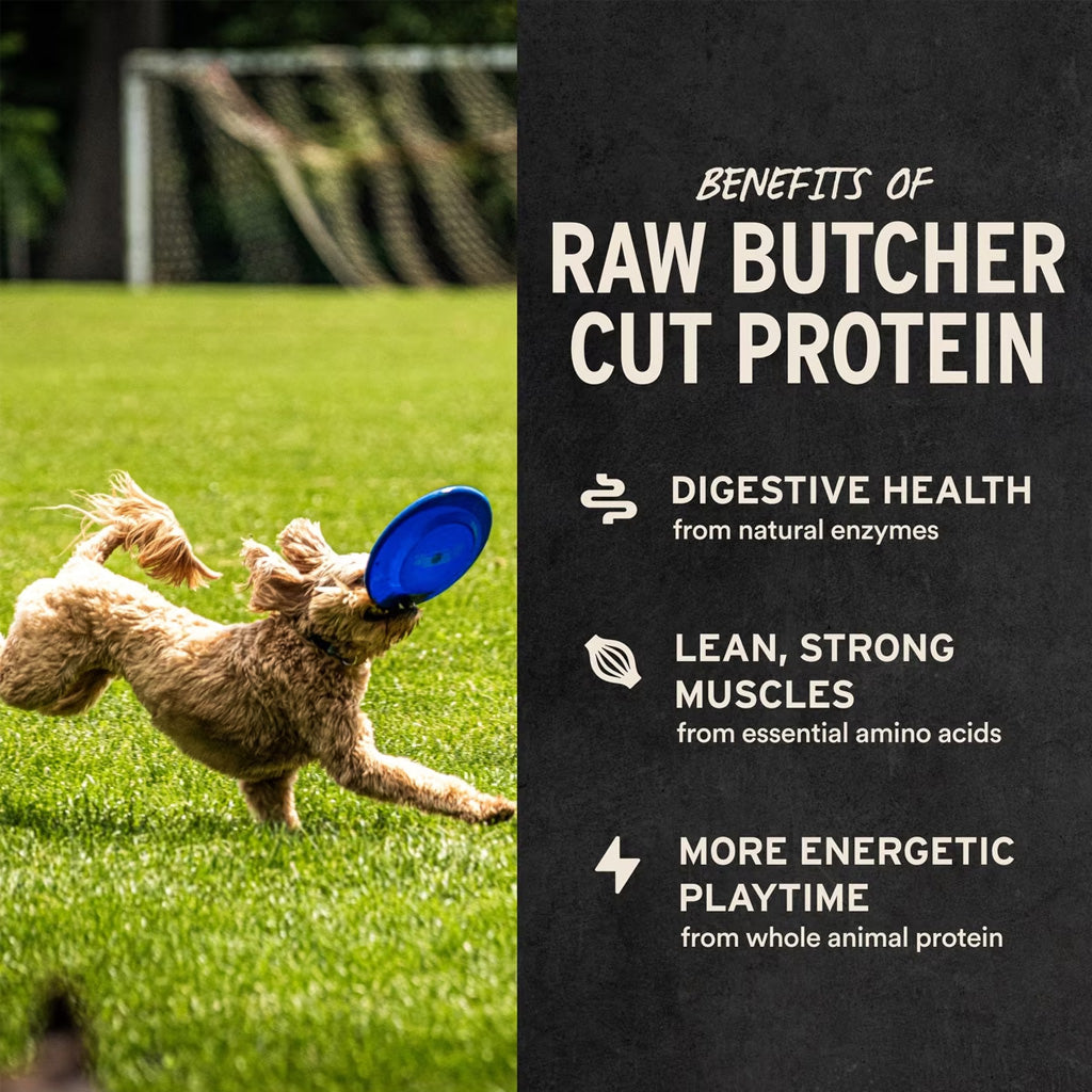 Vital Essentials Freeze-Dried Raw Salmon Bites Treats for Dogs, 5-oz