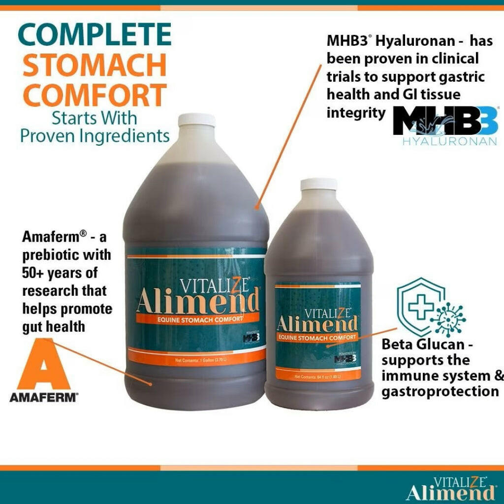 Vitalize Alimend Stomach Comfort Gastric Support for Horses