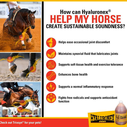 Vitalize Hyaluronex Joint Support Liquid Support for Horses