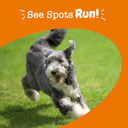 Zesty Paws Stay Green Bites Chicken Flavored Gut Health Chews for Dogs (90 ct)