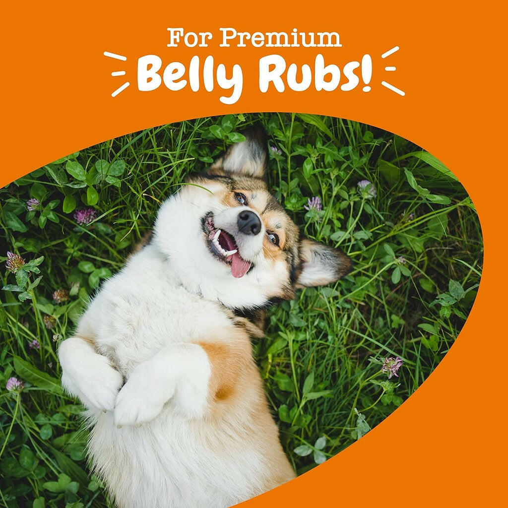 Zesty Paws Probiotic Bites Chicken Flavored Chews for Dogs (90 ct)