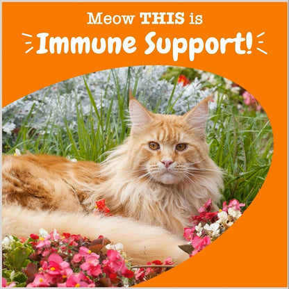 Zesty Paws Aller-Immune Bacon Flavored Immune System Chews for Cats (60 ct)