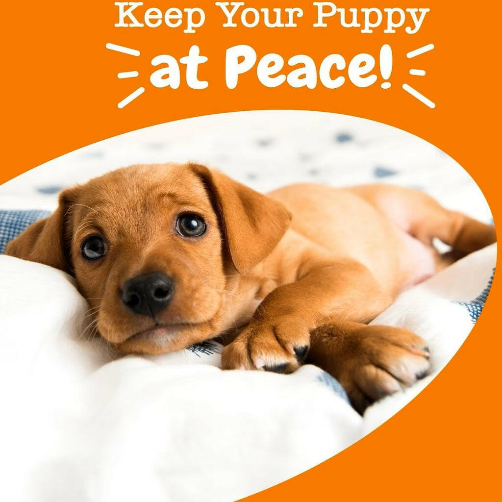 Zesty Paws Puppy Calming Bites Turkey Flavored Chews for Puppies (90 ct)