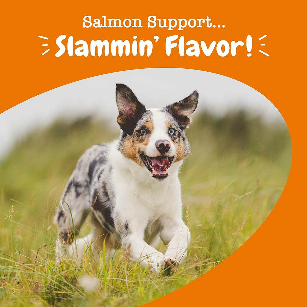 Zesty Paws Salmon Bites Skin Health Chews for Dogs (90 ct)