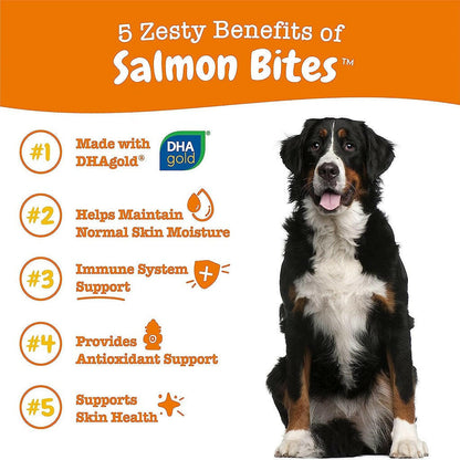 Zesty Paws Salmon Bites Skin Health Chews for Dogs (90 ct)