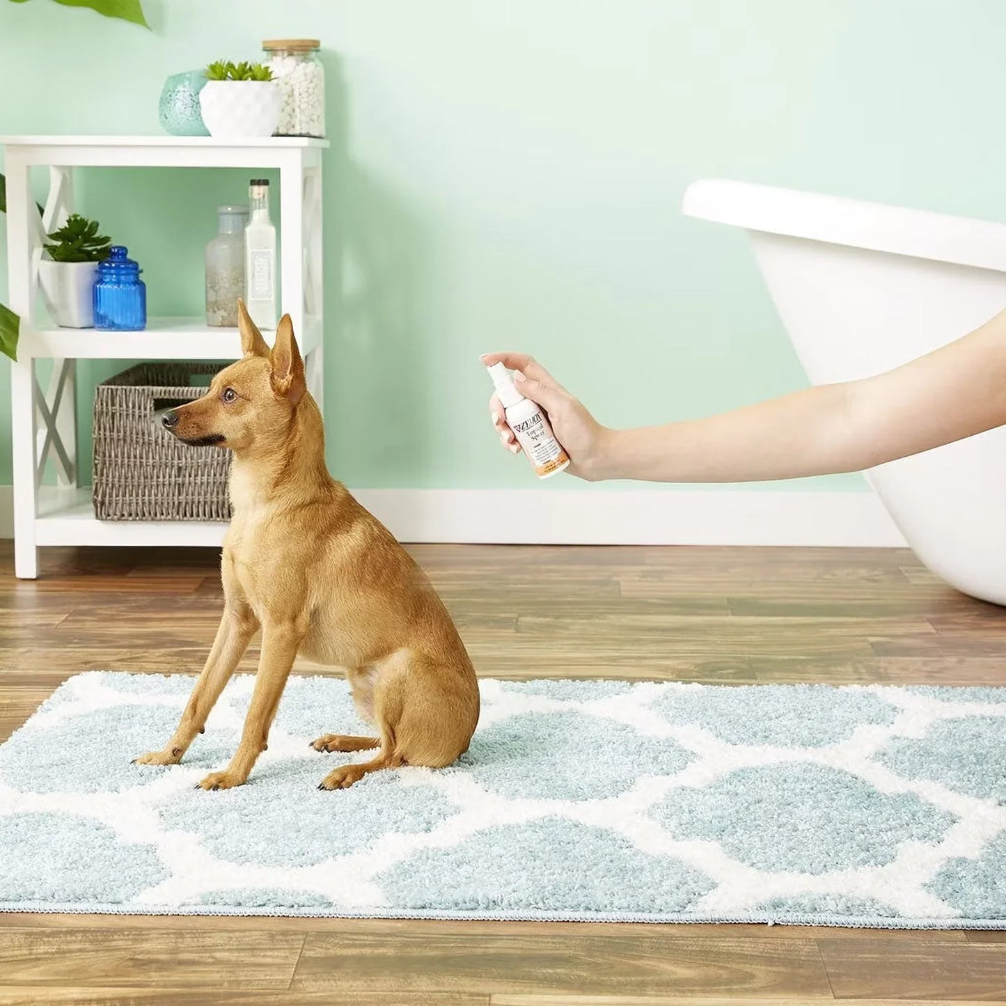 Zymox Topical Spray Hydrocortisone Free for Dogs & Cats
